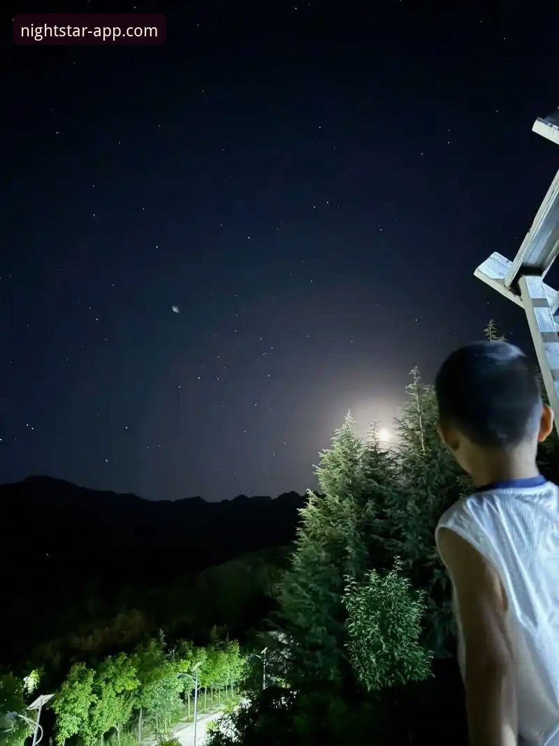 如何在手机上下载星空APP官方正版？一文解答所有疑问