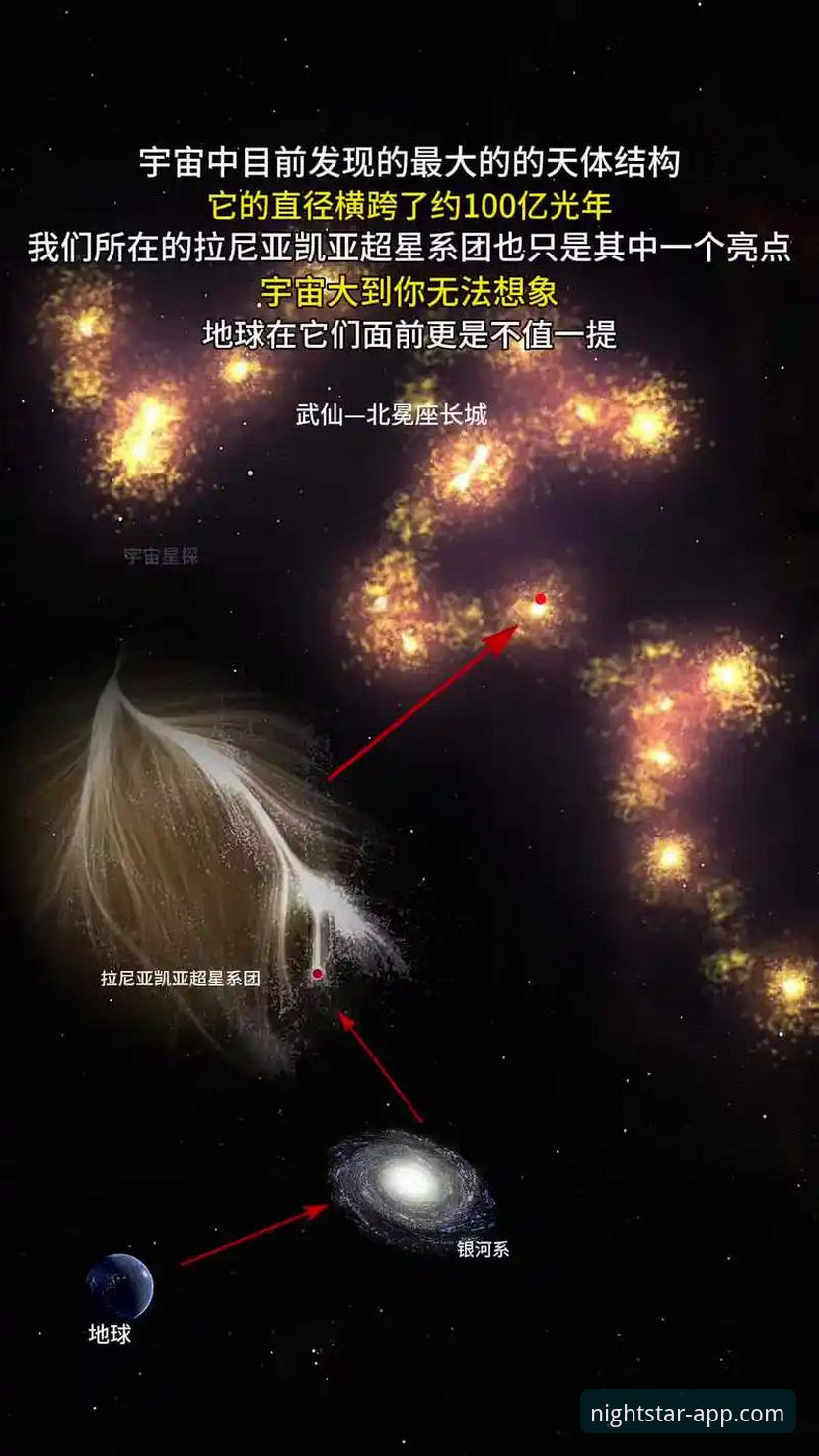 星空APP怎么样 星空APP vs 其他娱乐平台:哪个更值得选择?全面对比分析